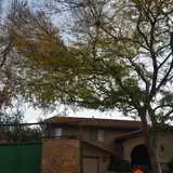 Our Works-1