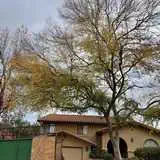 Our Works-5